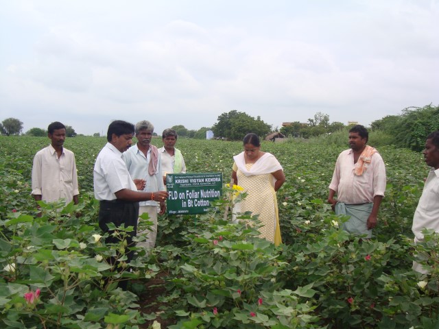 FLD on Foliar nutrition in Bt cotton.